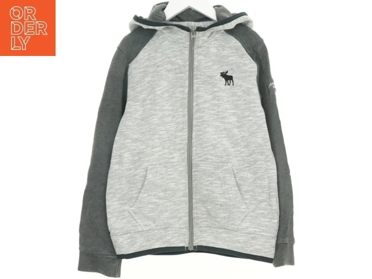 Billede 2 - Hættetrøje fra Abercrombie (str. 140 cm)