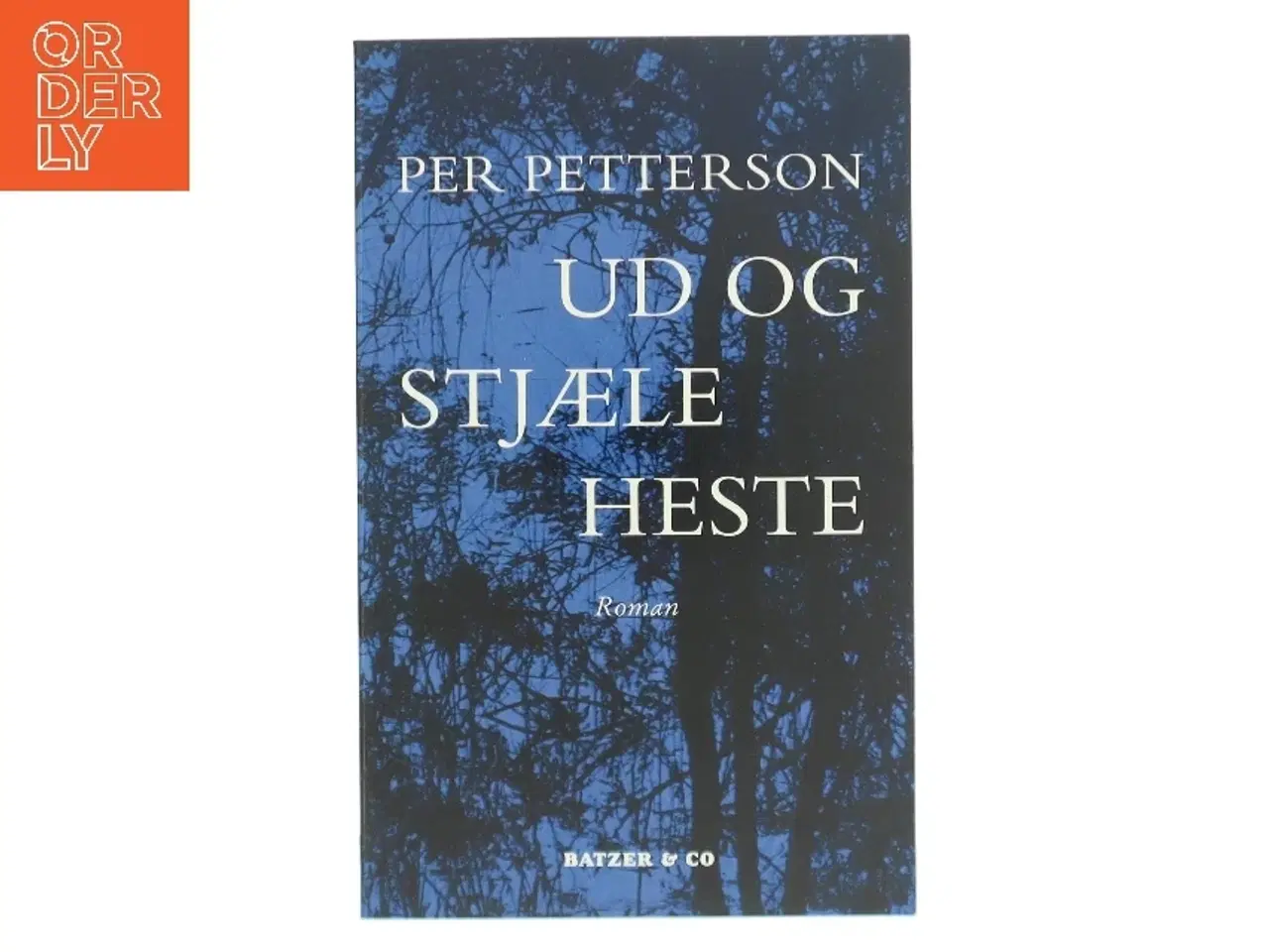 Billede 1 - Ud og stjæle heste : roman af Per Petterson (Bog)