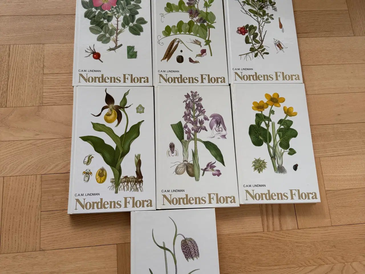 Billede 1 - Nordens Flora leksikon 1-10