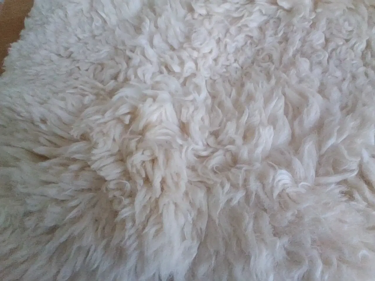 Billede 2 - Norsk Lammeskind minimum 80 cm i længden