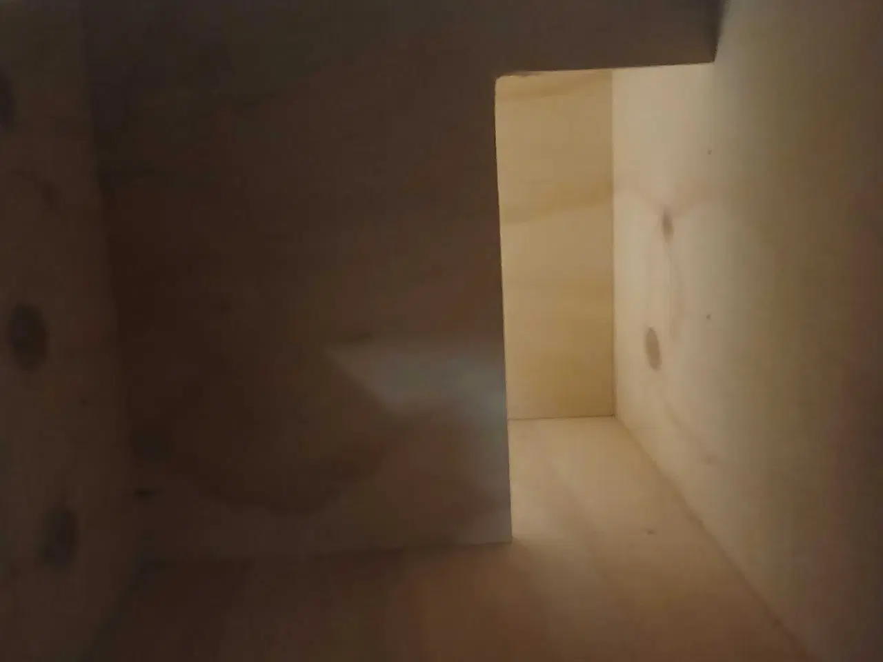 Billede 4 - Slørugle redekasse