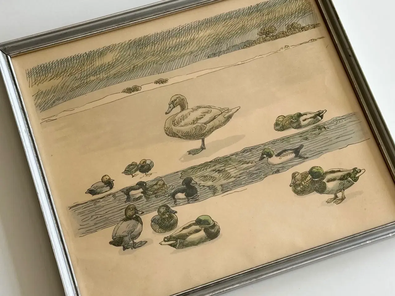 Billede 2 - Johannes Larsen, svane og ænder