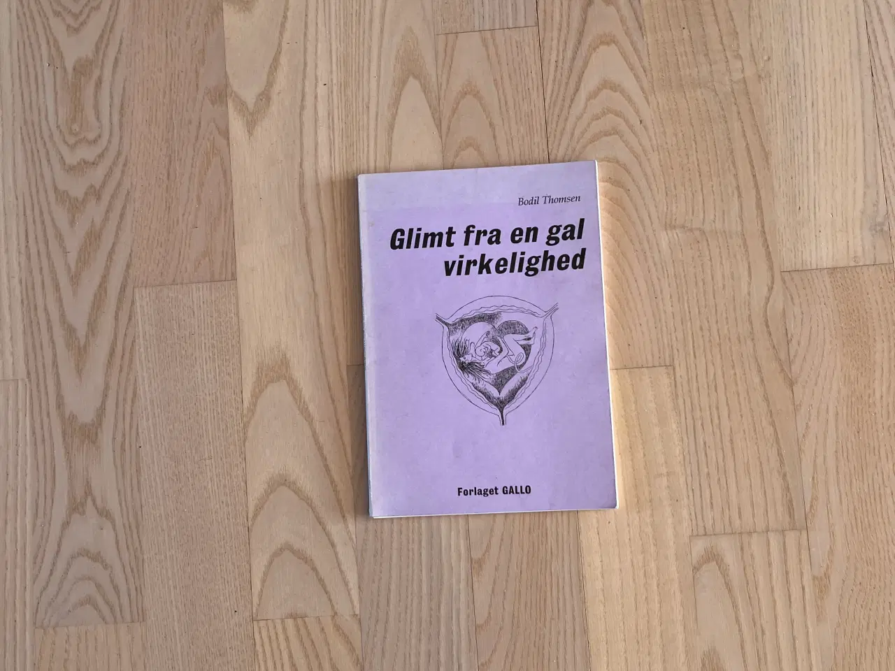 Billede 1 - Glimt fra en gal virkelighed - af Bodil Thomsen