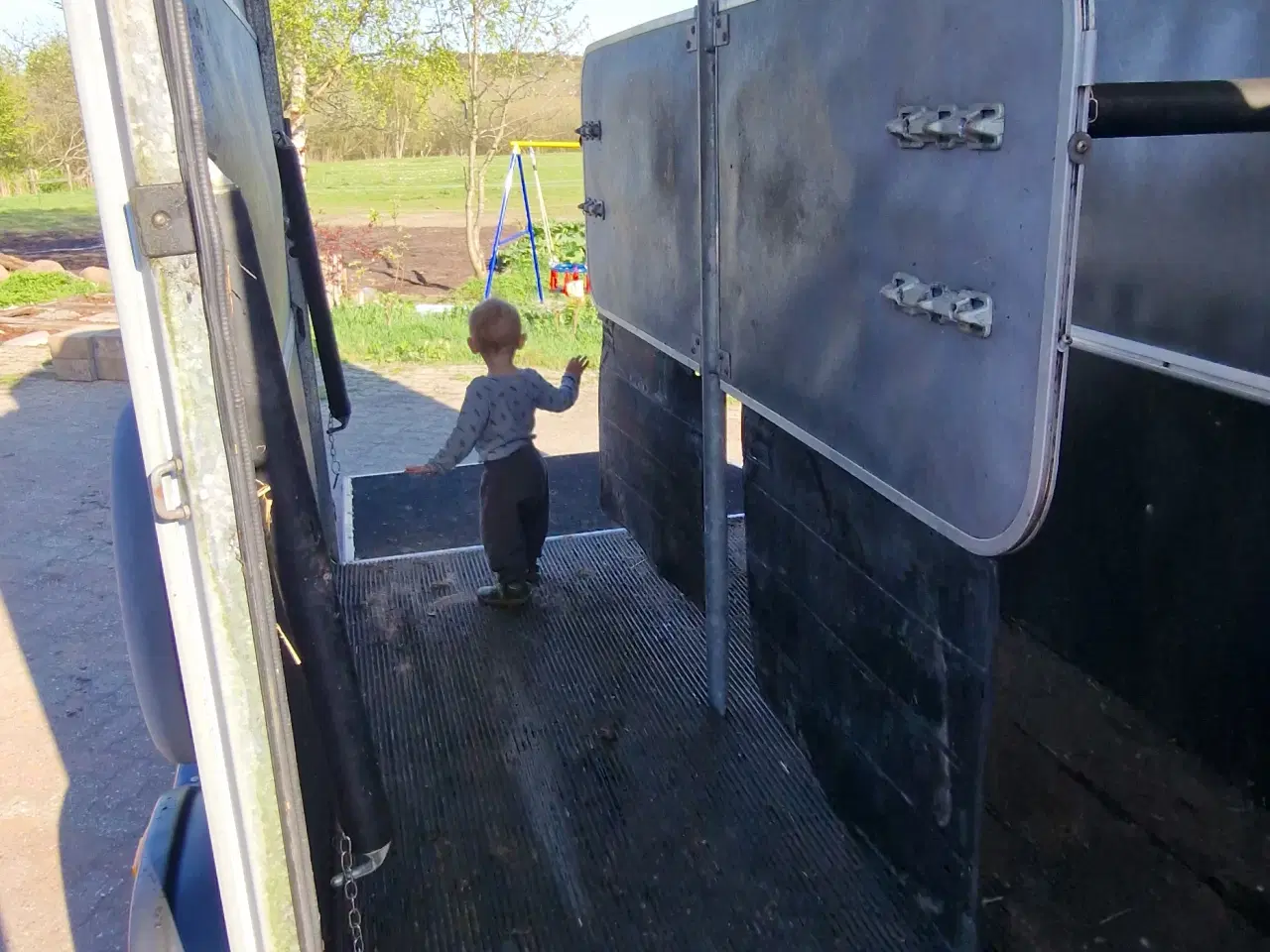 Billede 11 -  Stor Ifor Williams Hestetrailer m/ frontudgang