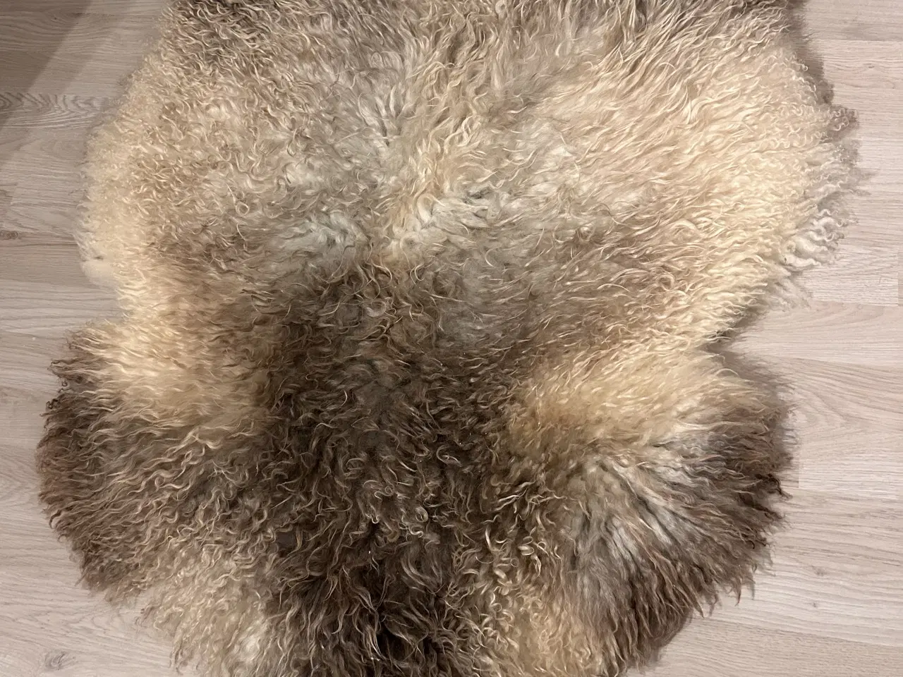 Billede 2 - Helt nyt dansk lammeskind