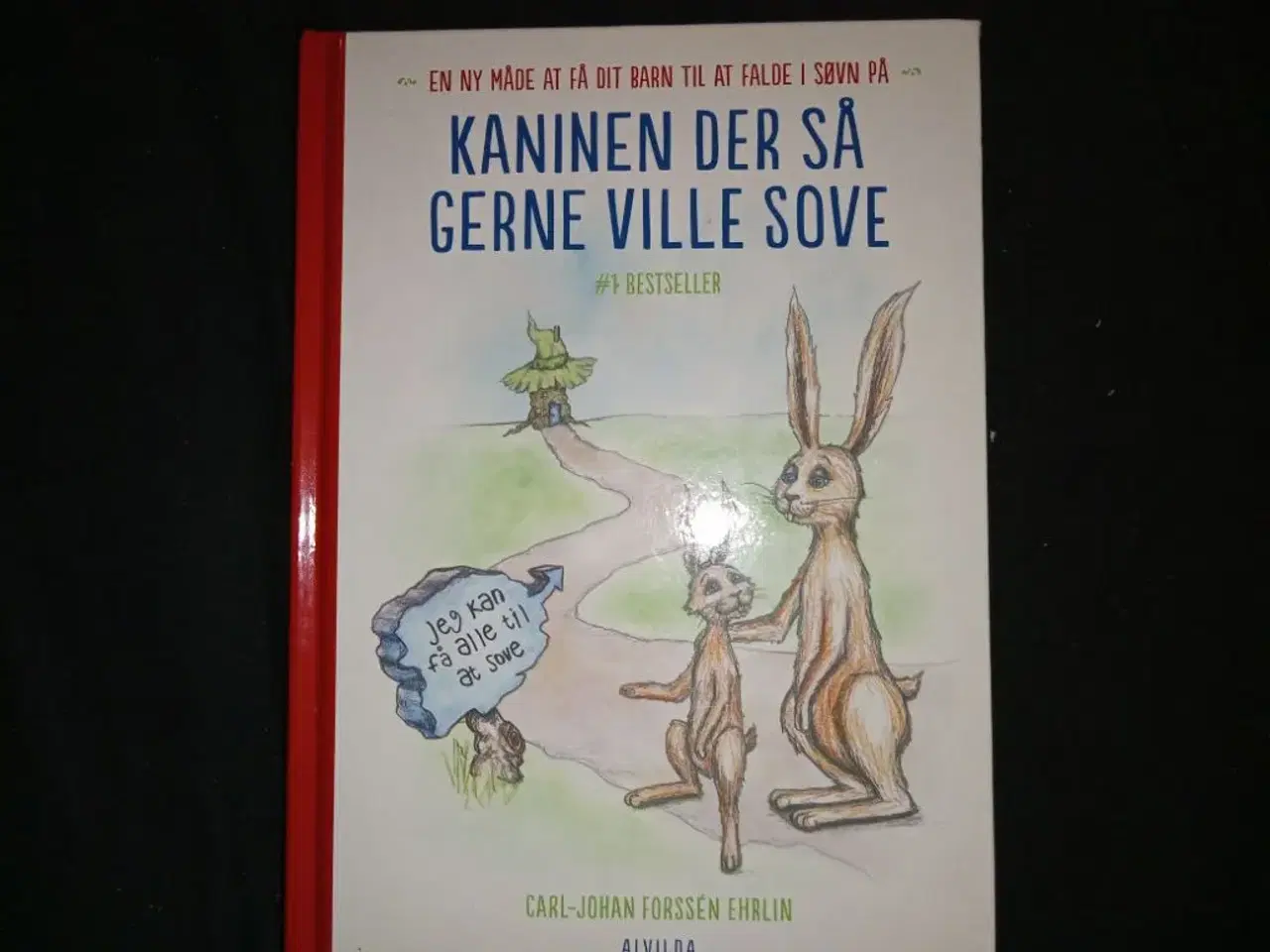 Billede 1 - Kaninen der så gerne ville sove