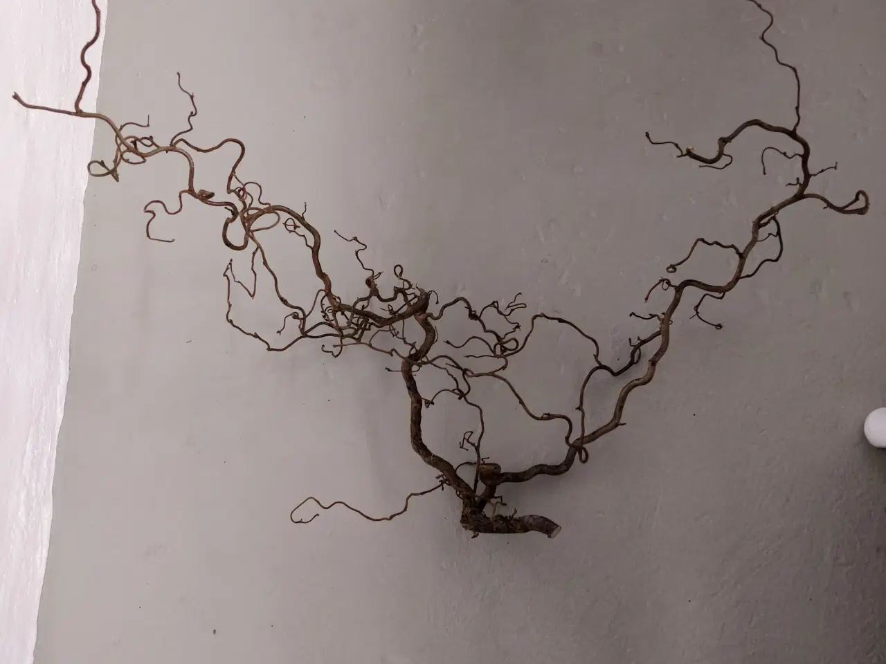 Billede 1 - Troldegren