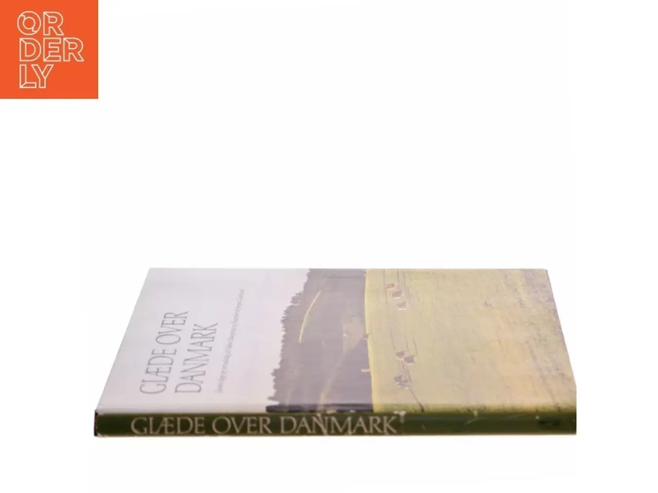 Billede 2 - Glæde Over Danmark af Hakon Stangerup (Bog)