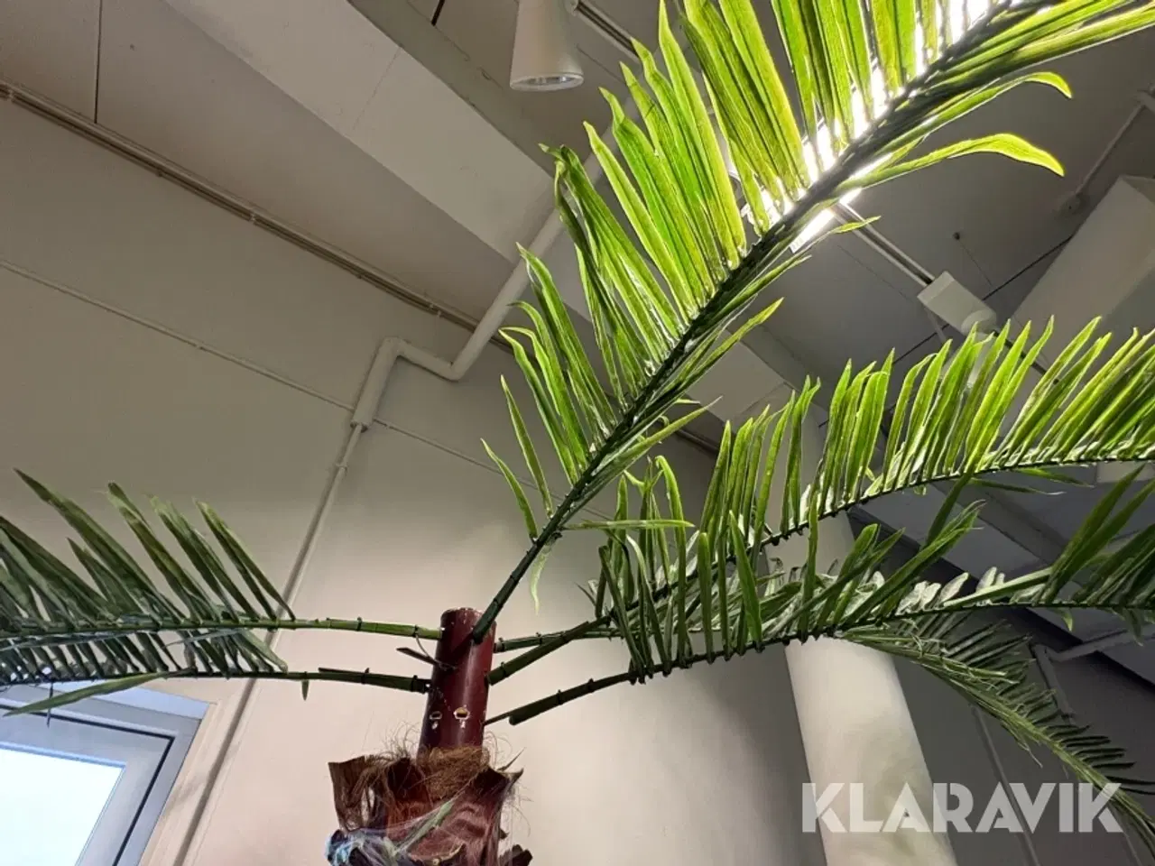 Billede 8 - Kunstige palmetræer - 2 styk