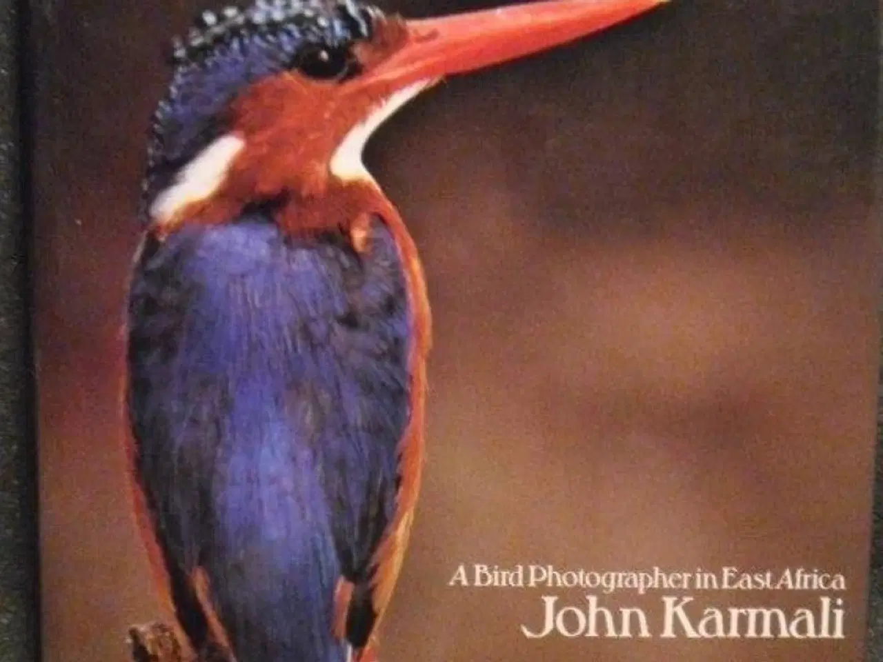 Billede 1 - Birds of Africa by John Karmali