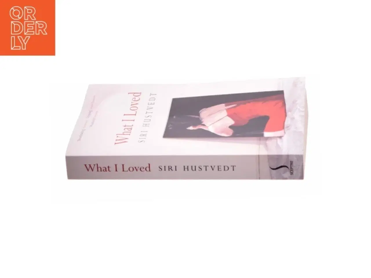 Billede 2 - What I Loved by Siri Hustvedt af Siri Hustvedt (Bog)