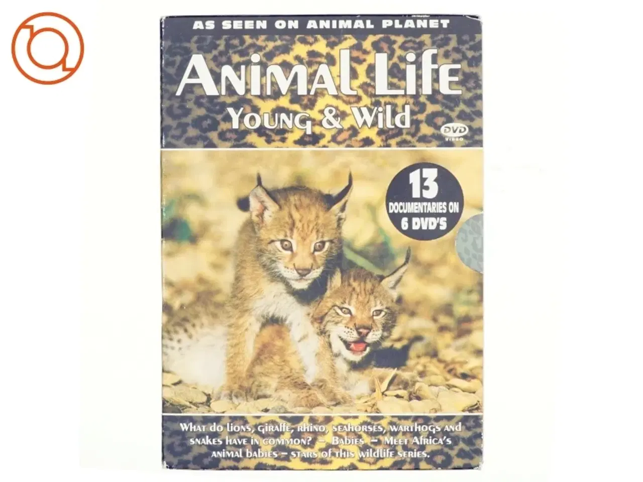 Billede 1 - Animal life, young and wild DVD
