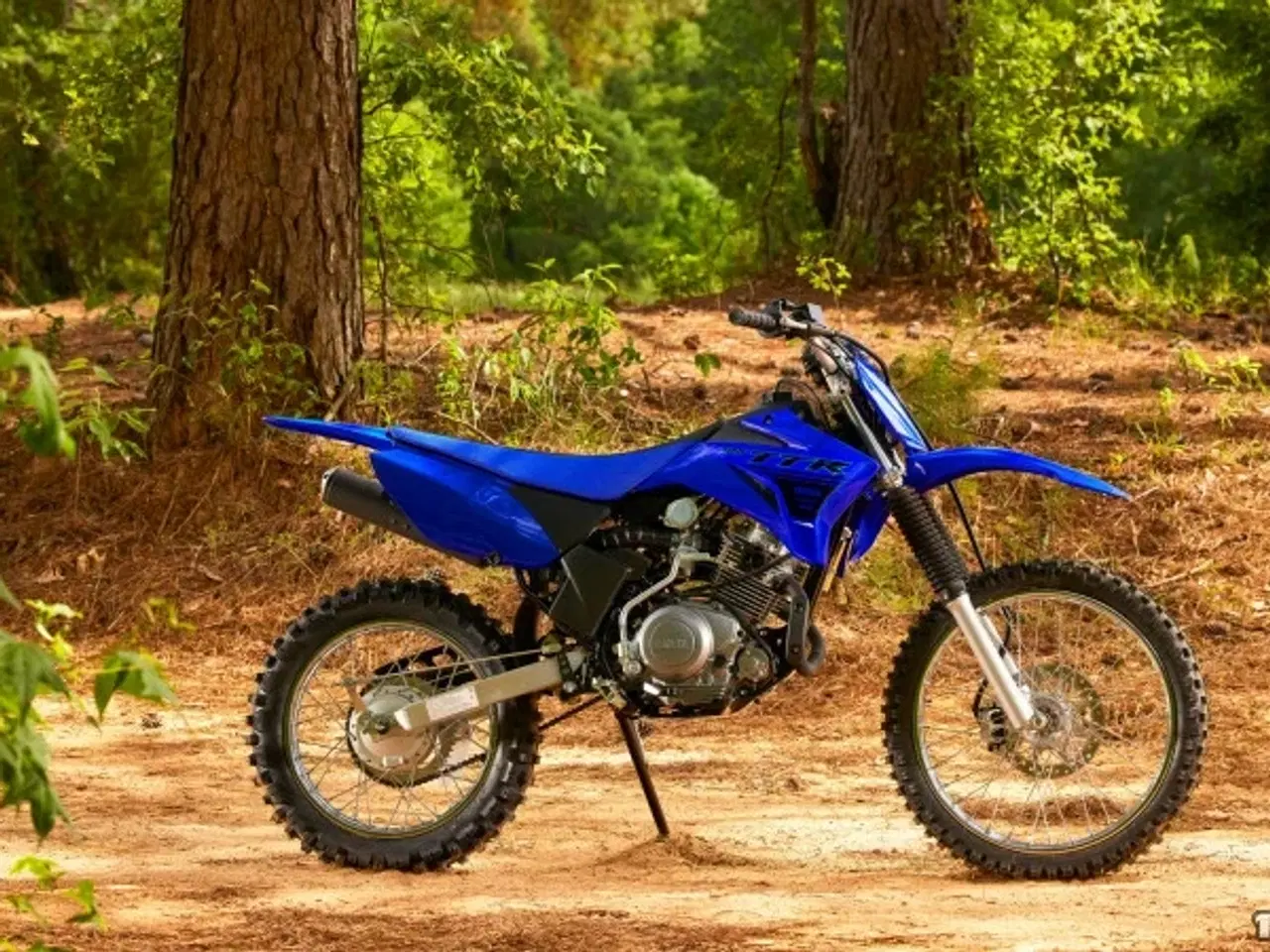 Billede 1 - Yamaha TTR 125 LW