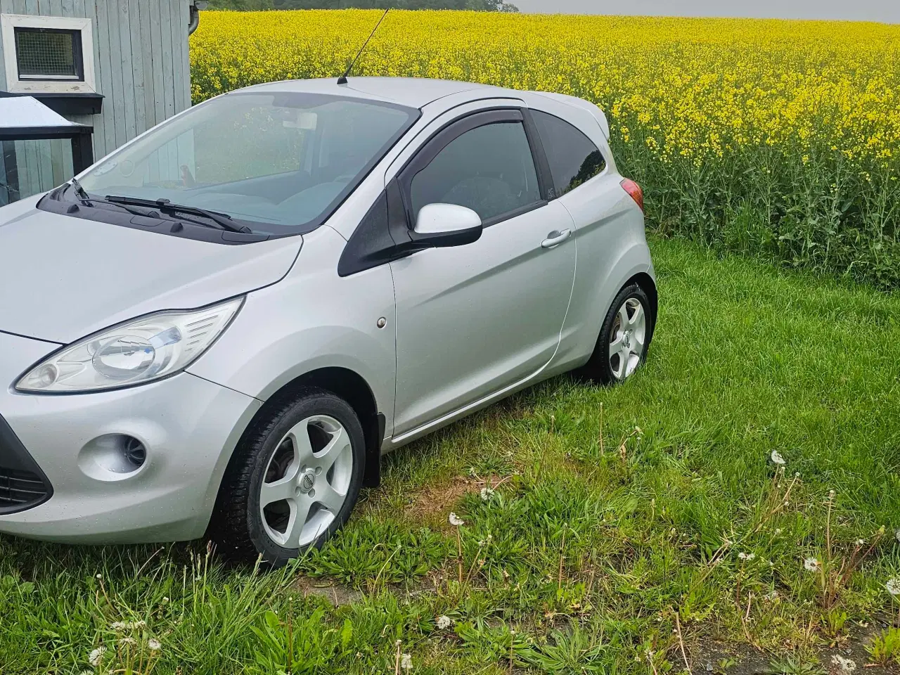 Billede 6 - Ford Ka Digital 