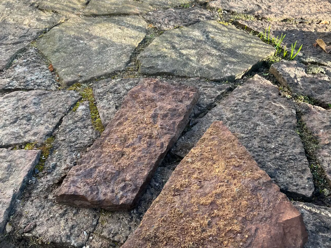 Billede 1 - Ølandsbrud