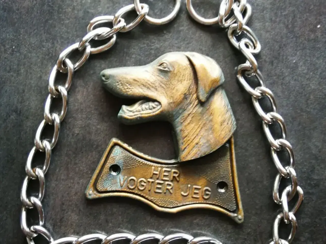 Billede 1 - Hundeskilt + halskæde