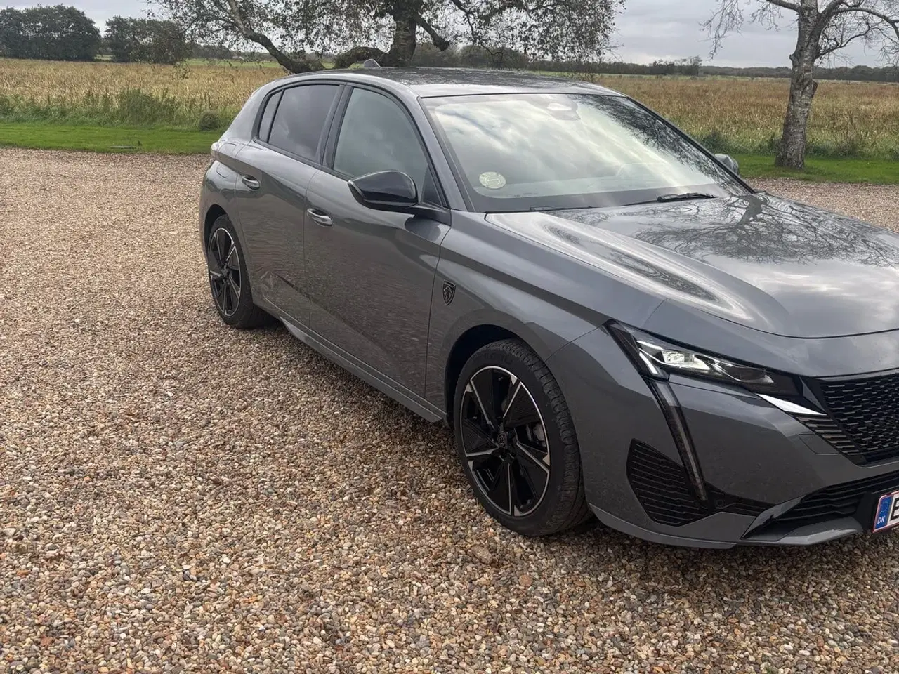 Billede 3 - Peugeot e-308 54 Allure SW