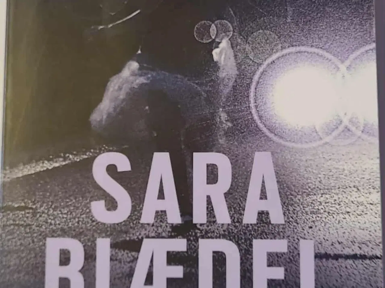 Billede 1 - Sara Blædel Hævnens Gudinde