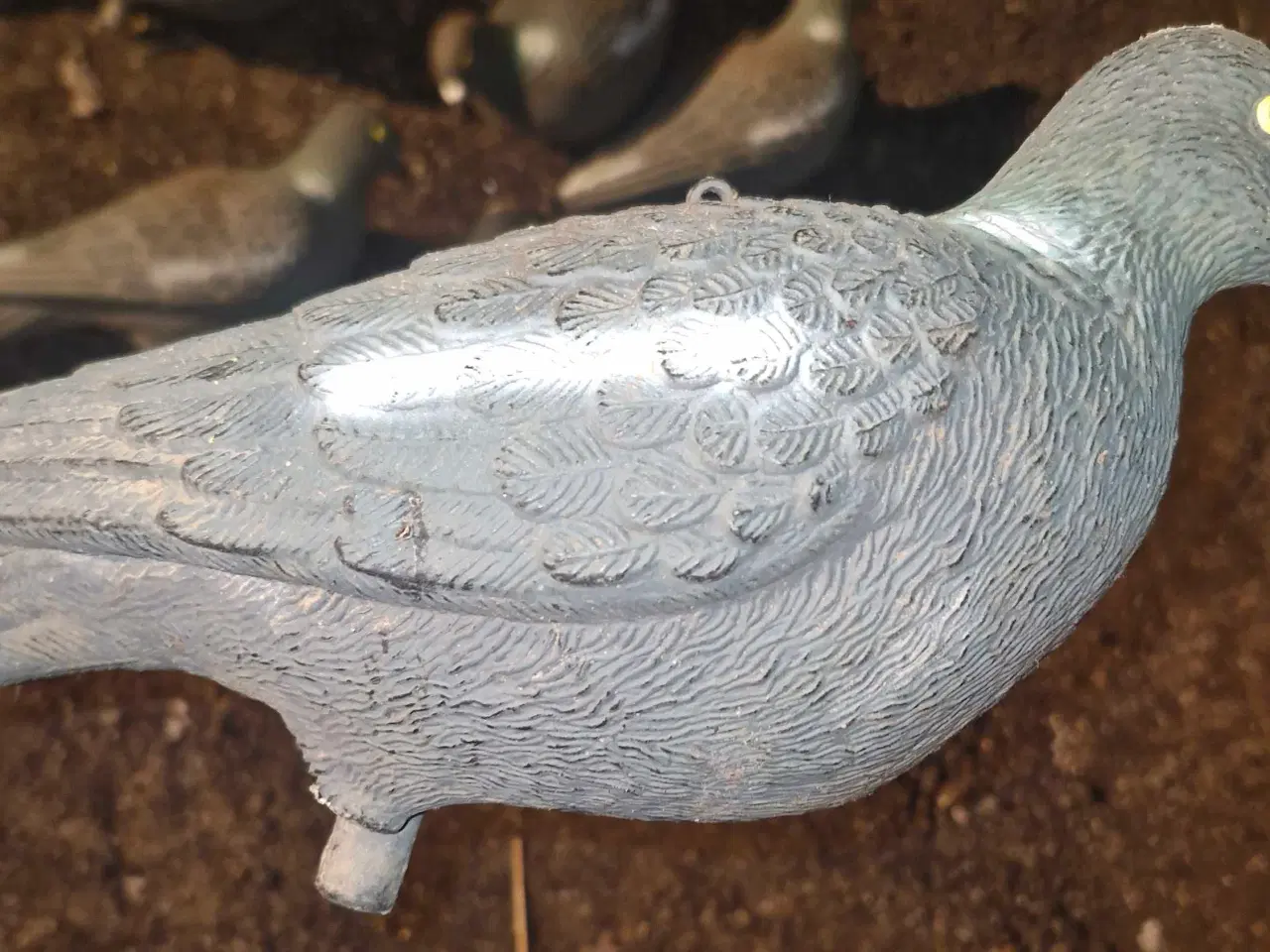 Billede 1 - Lokke duer