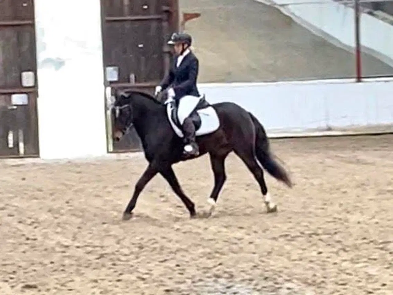 Billede 11 - Allround 2’er pony søger sin nye familie 