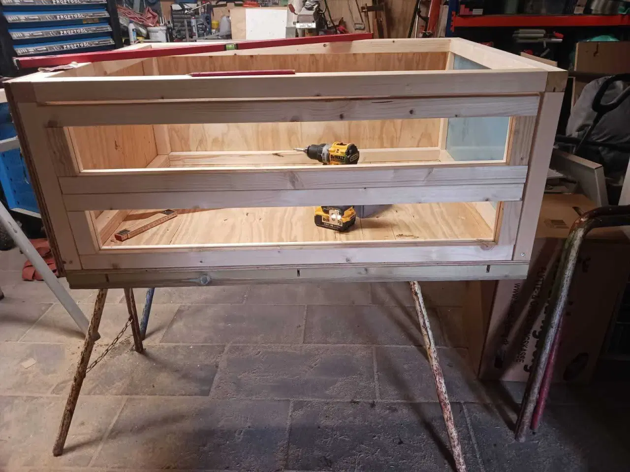 Billede 4 - Store marsvinebure på Sjælland & Jylland