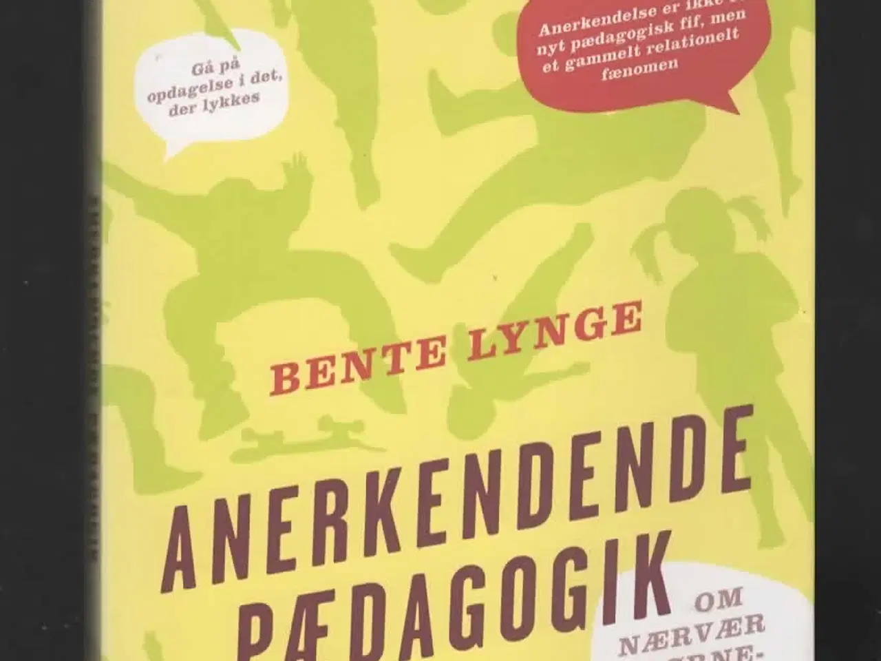 Billede 1 - pædagogik -anerkendende