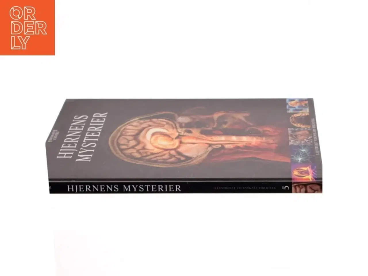 Billede 2 - Hjernens Mysterier (Bog)