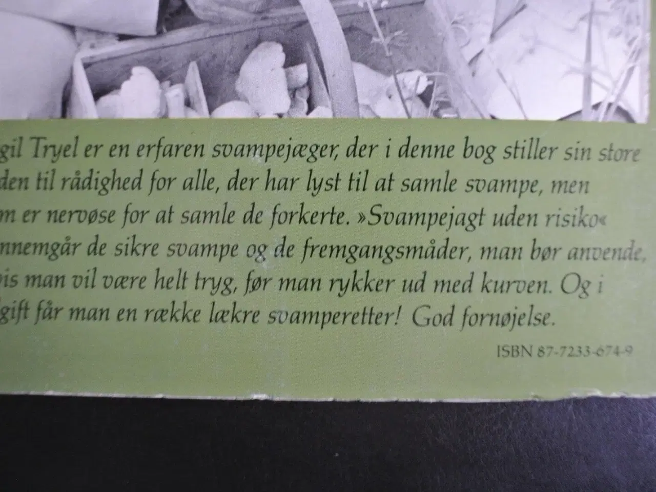 Billede 3 - svampejagt uden risiko, af ejgil tryel, emne: biol