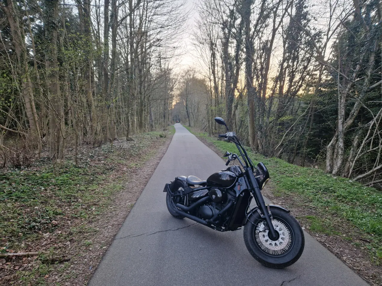 Billede 3 - Suzuki vl800 ombygget fra chop up
