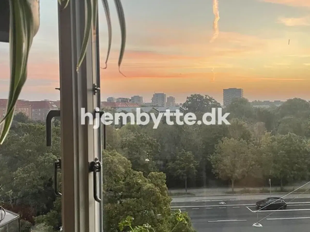 Billede 2 - Hjembytte - Østrigsgade