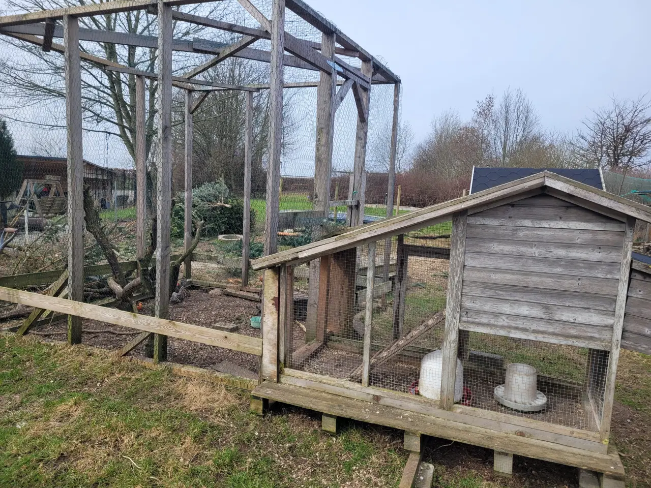 Billede 3 - 4 Dværg høns. Tværstribet hollandske dværge