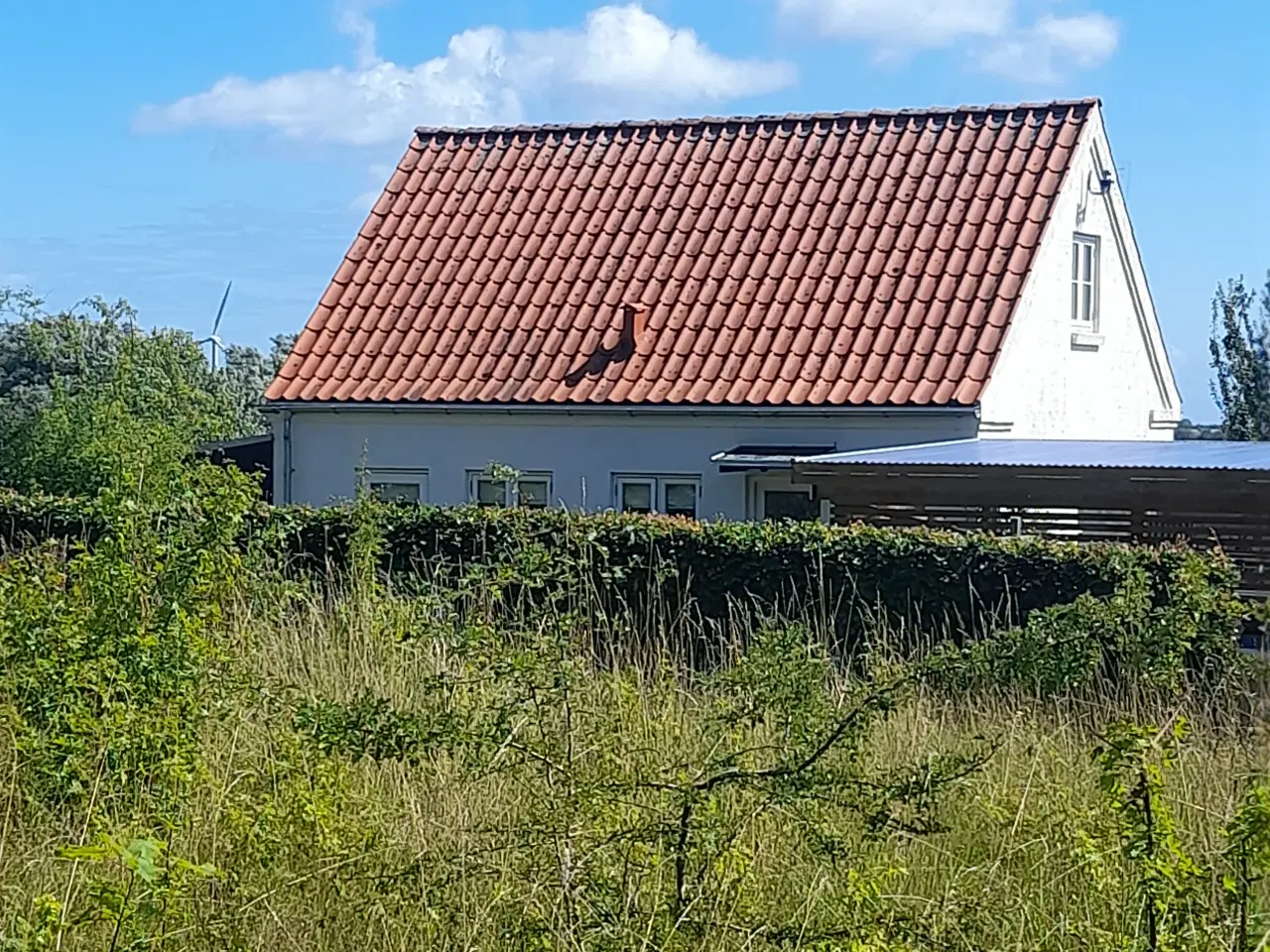 Billede 6 - Bygge grund 