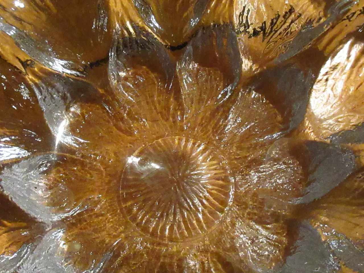 Billede 3 - Blomst Glas skål, til kaffebordet