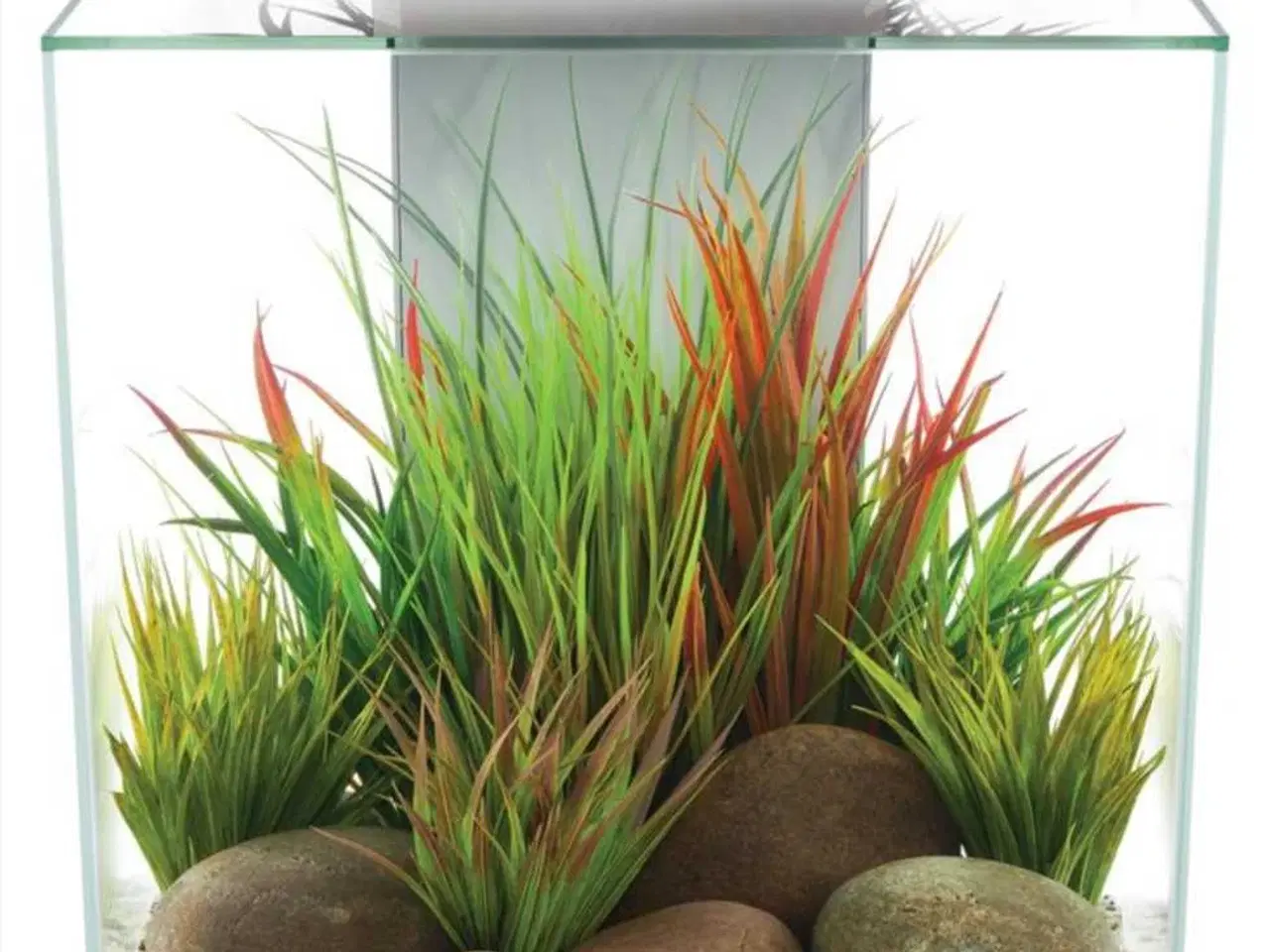 Billede 1 - Nyt akvarium FLUVAL Edge II Hvid 46 liter med LED 