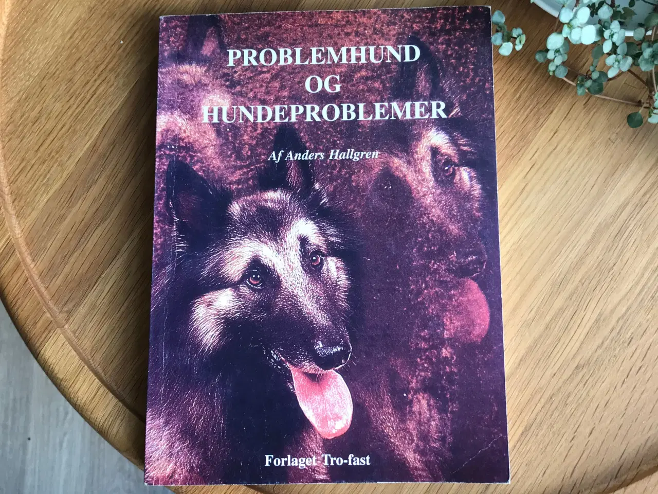 Billede 1 - Problemhund og Hundeproblemer