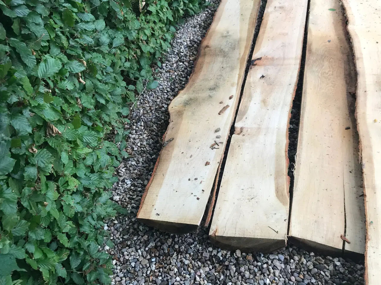 Billede 1 - Egeplanker med bark på bagsiden - 