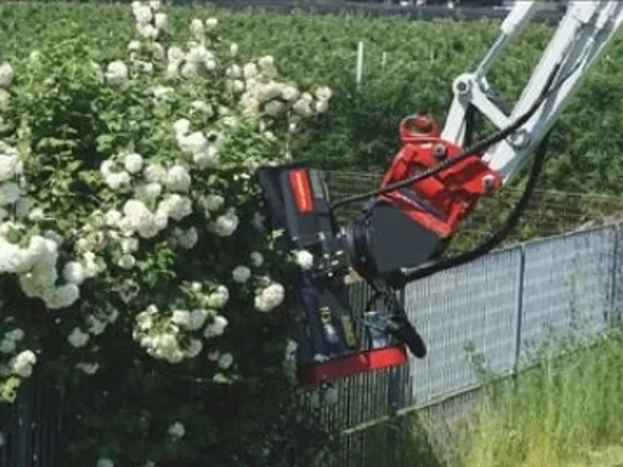 Billede 2 - Seppi Hydraulisk klippehoved H3  60 cm