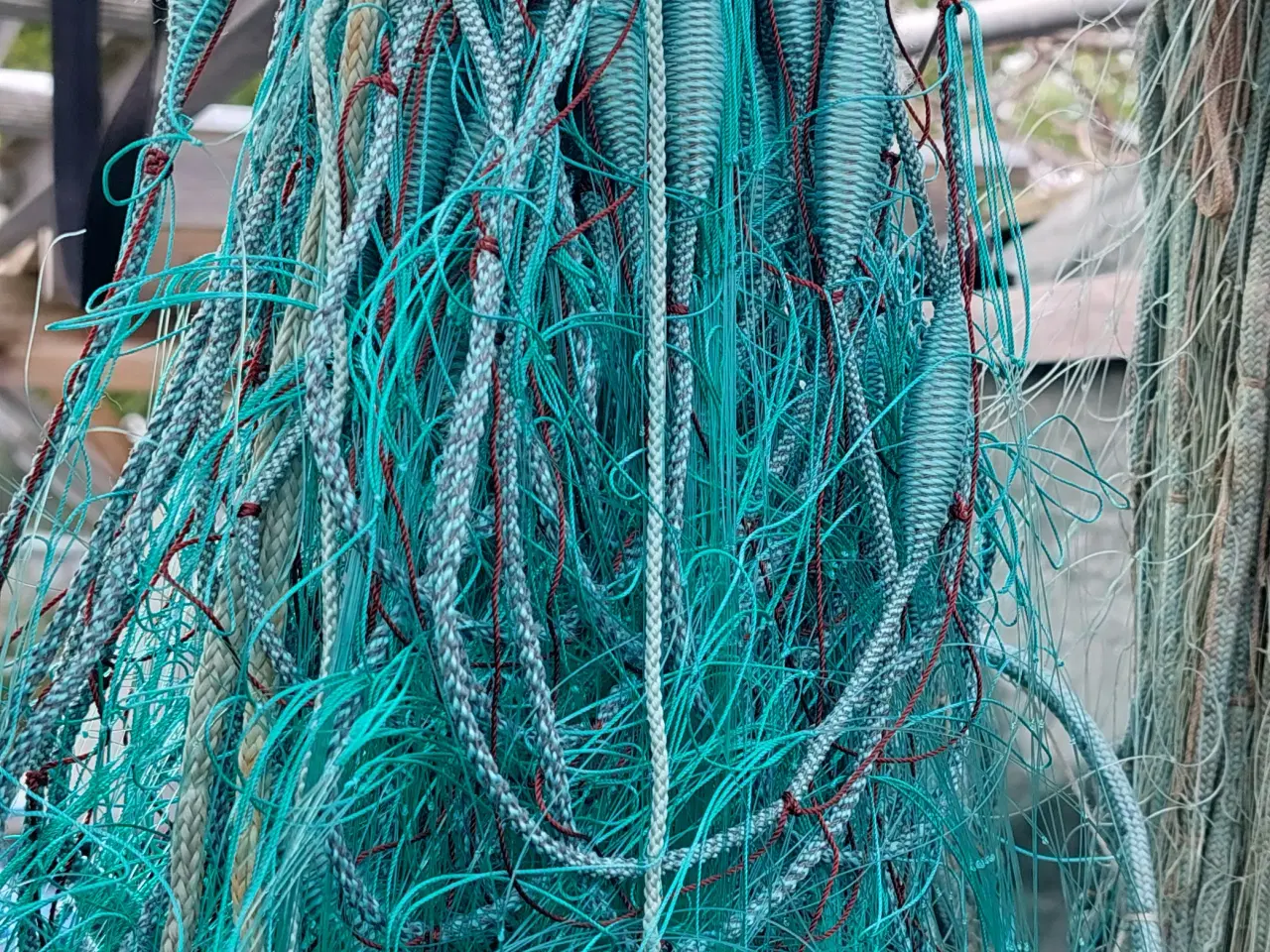 Billede 6 - Rødspætte / Skrubbegarn