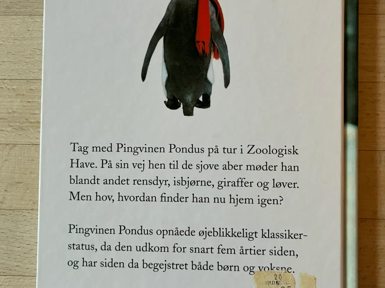 Billede 2 - Pingvinen Pondus i Zoologisk Have, Ivar Myrhøj