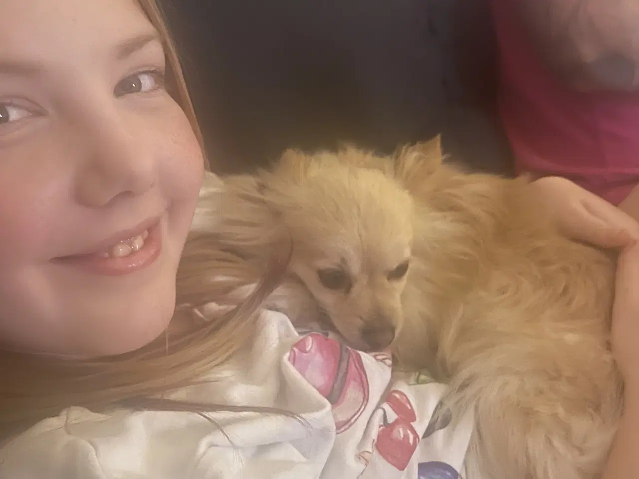 Billede 1 - Sød hund søger nyt hjem 