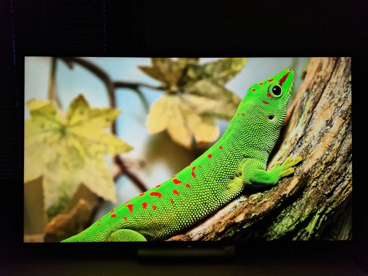 Billede 2 - 55" Sony Android TV 4K UltraHD med vægbeslag