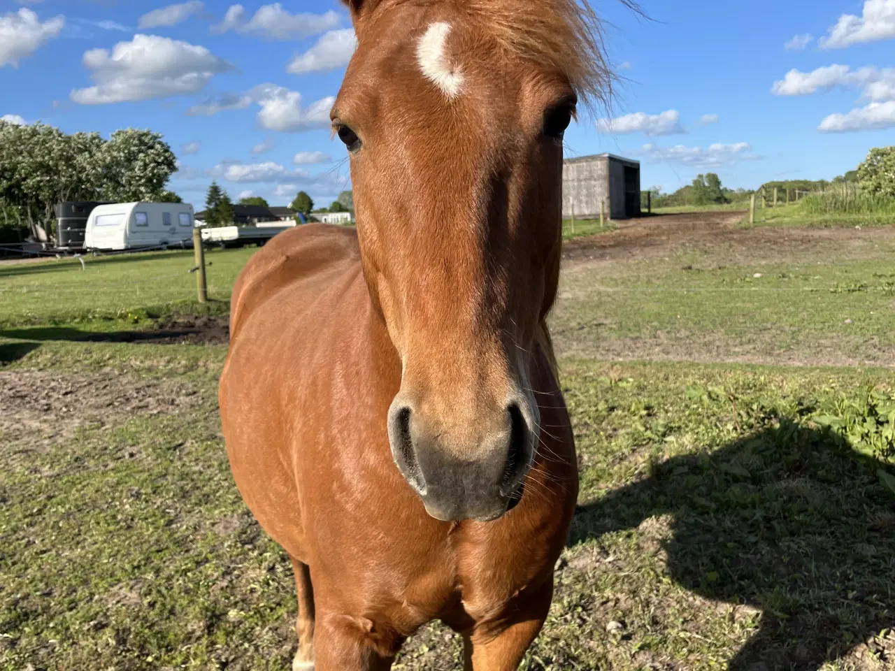 Billede 12 - Hurtigt salg ønskes 