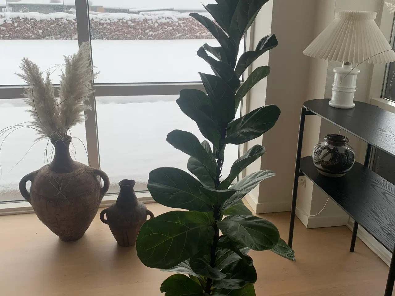 Billede 1 - Flot Palme , 1,15 m