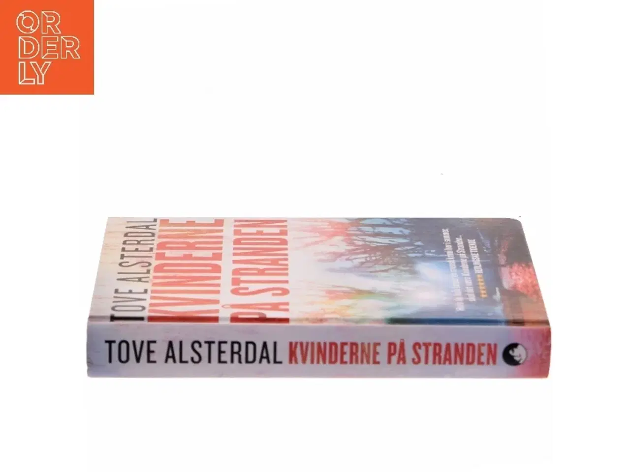 Billede 2 - Kvinderne på stranden af Tove Alsterdal (Bog)