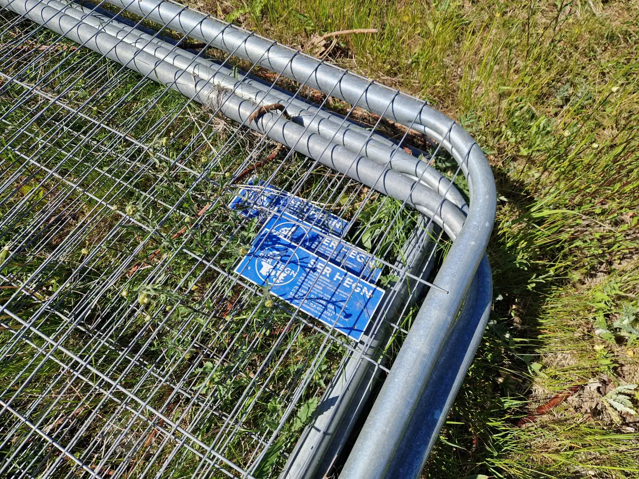 Billede 2 - Hegn - SKAL VÆK NU