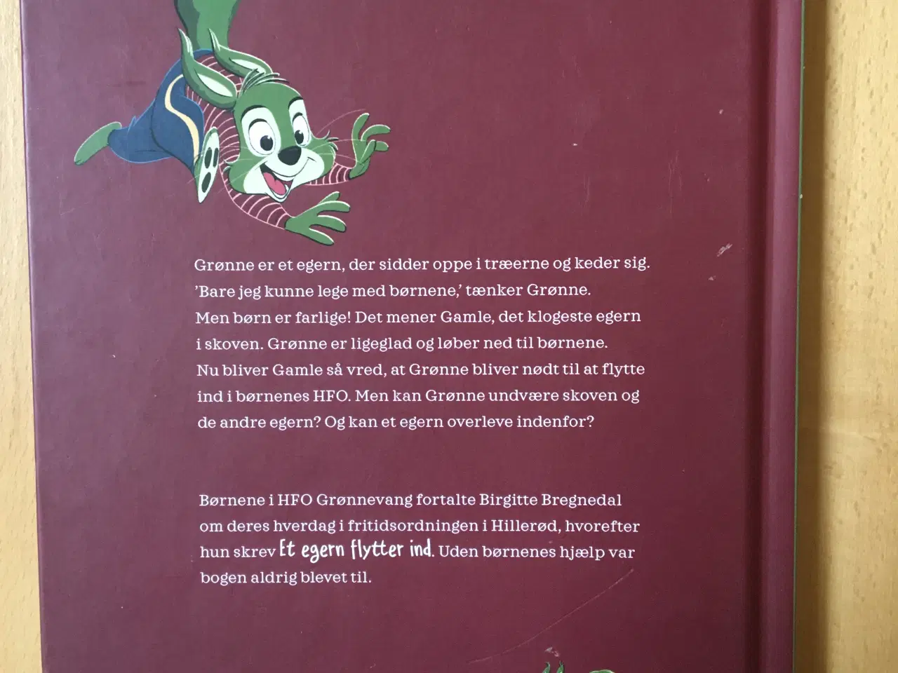 Billede 2 - Børnebog ”Et egern flytter ind”.