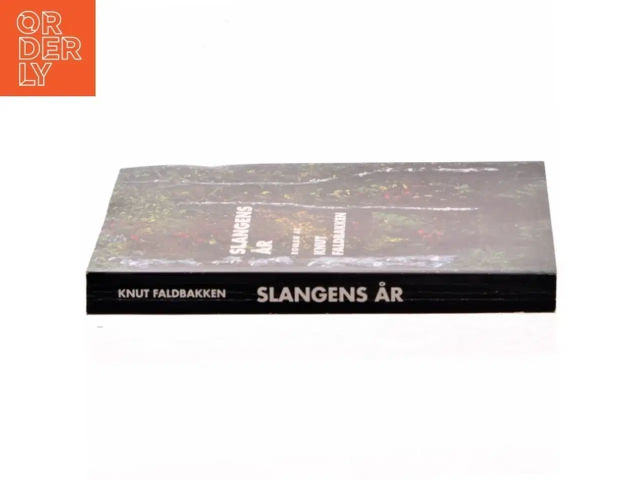 Billede 2 - Slangens år af Knut Faldbakken (Bog)