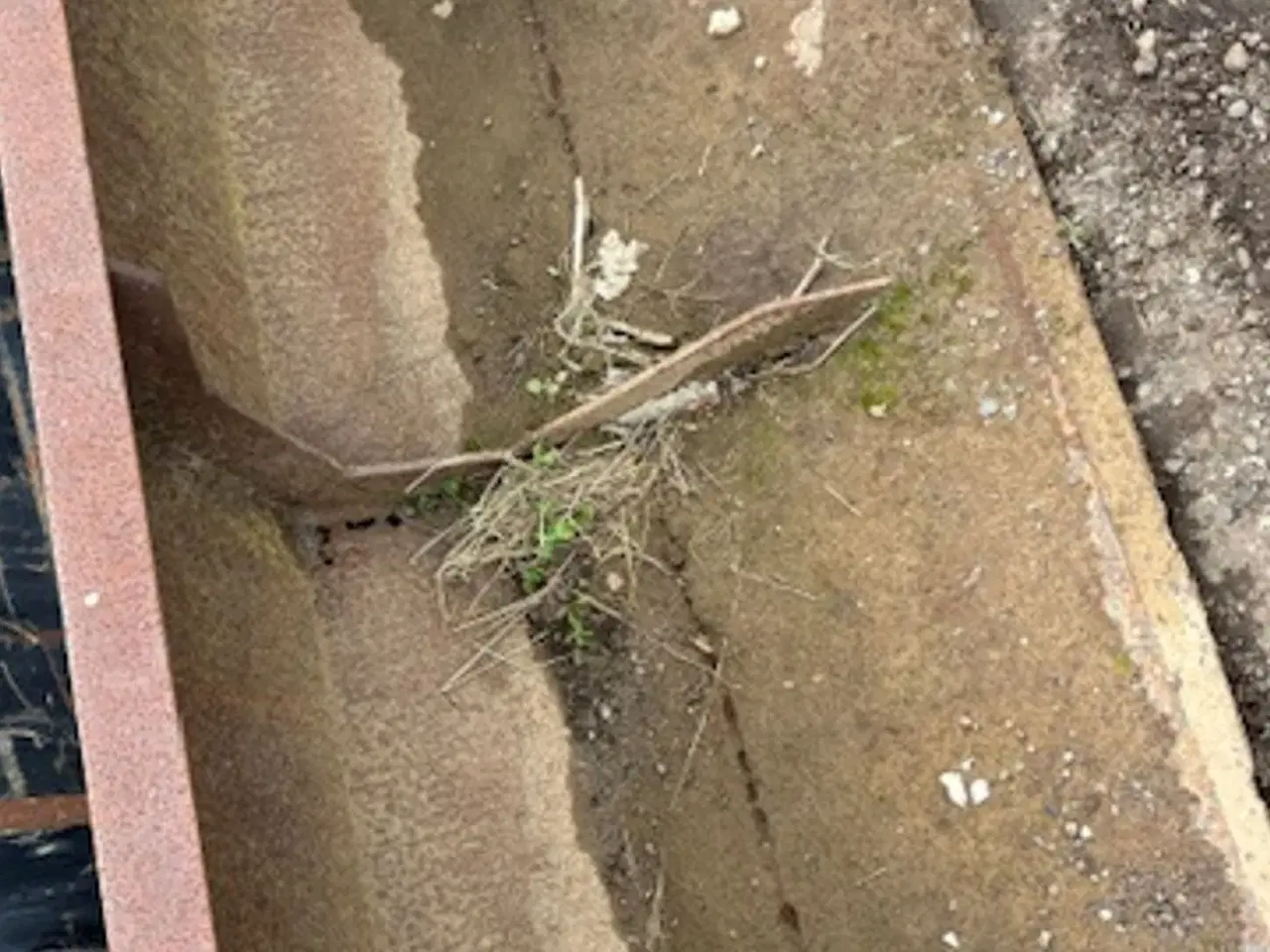 Billede 1 - Hydrema skovle