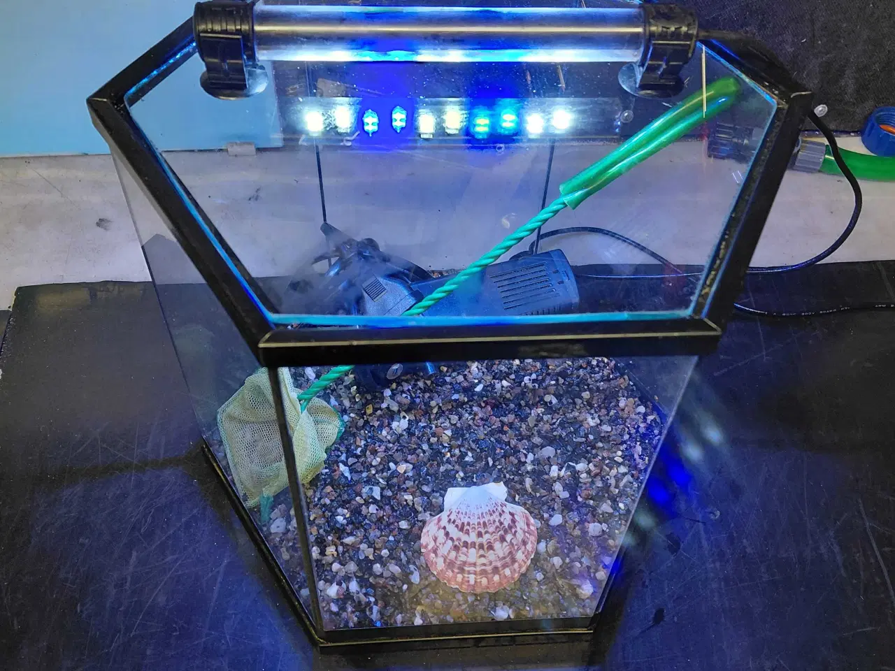 Billede 4 - Akvarier 10L 