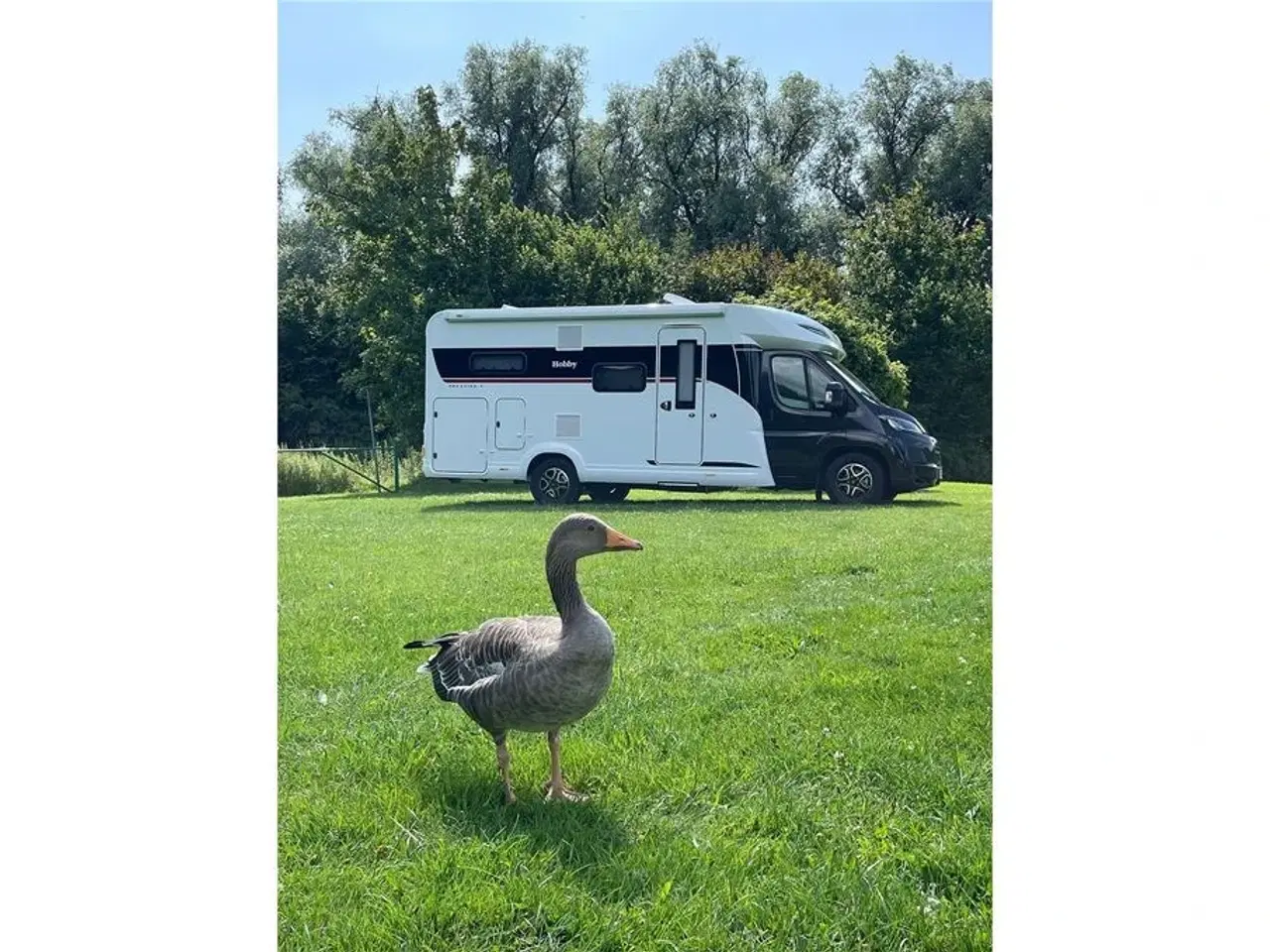 Billede 10 - 2026 - Hobby   Top lækker nyhed fra Hobby Autocamper fra Hinshøj caravan